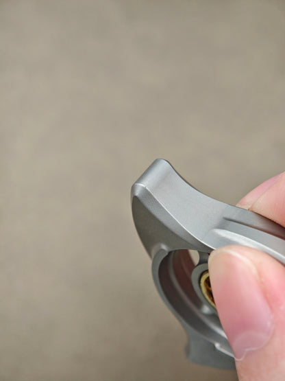 Shenwei Stainless Steel Blasted