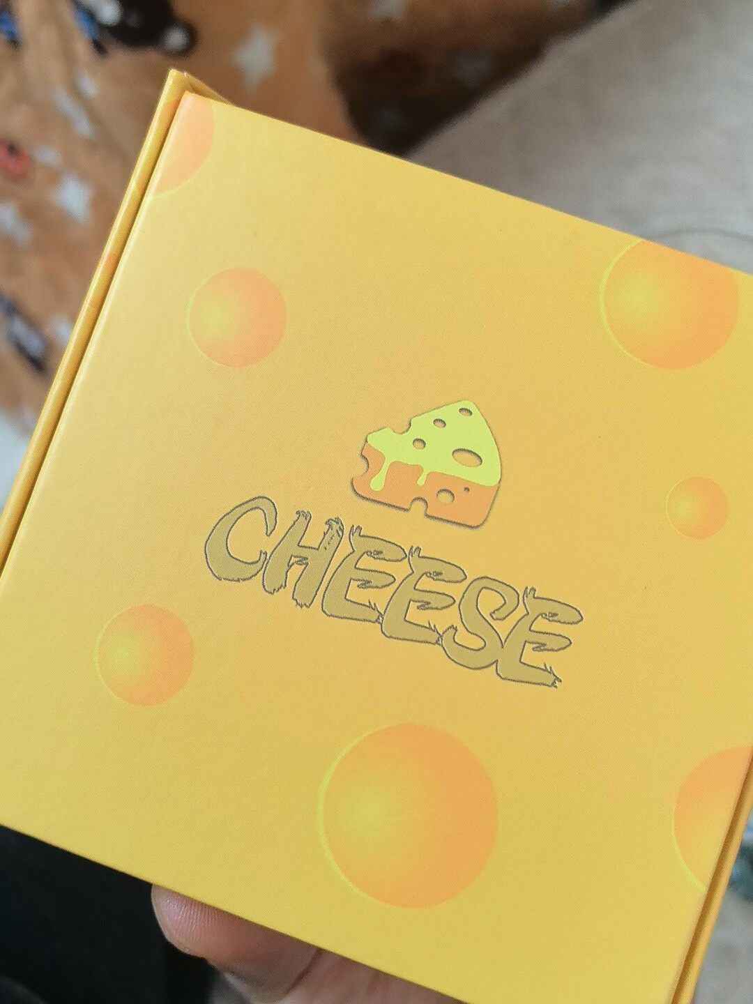 Cheese Spinner Stainless Steel Brand New
