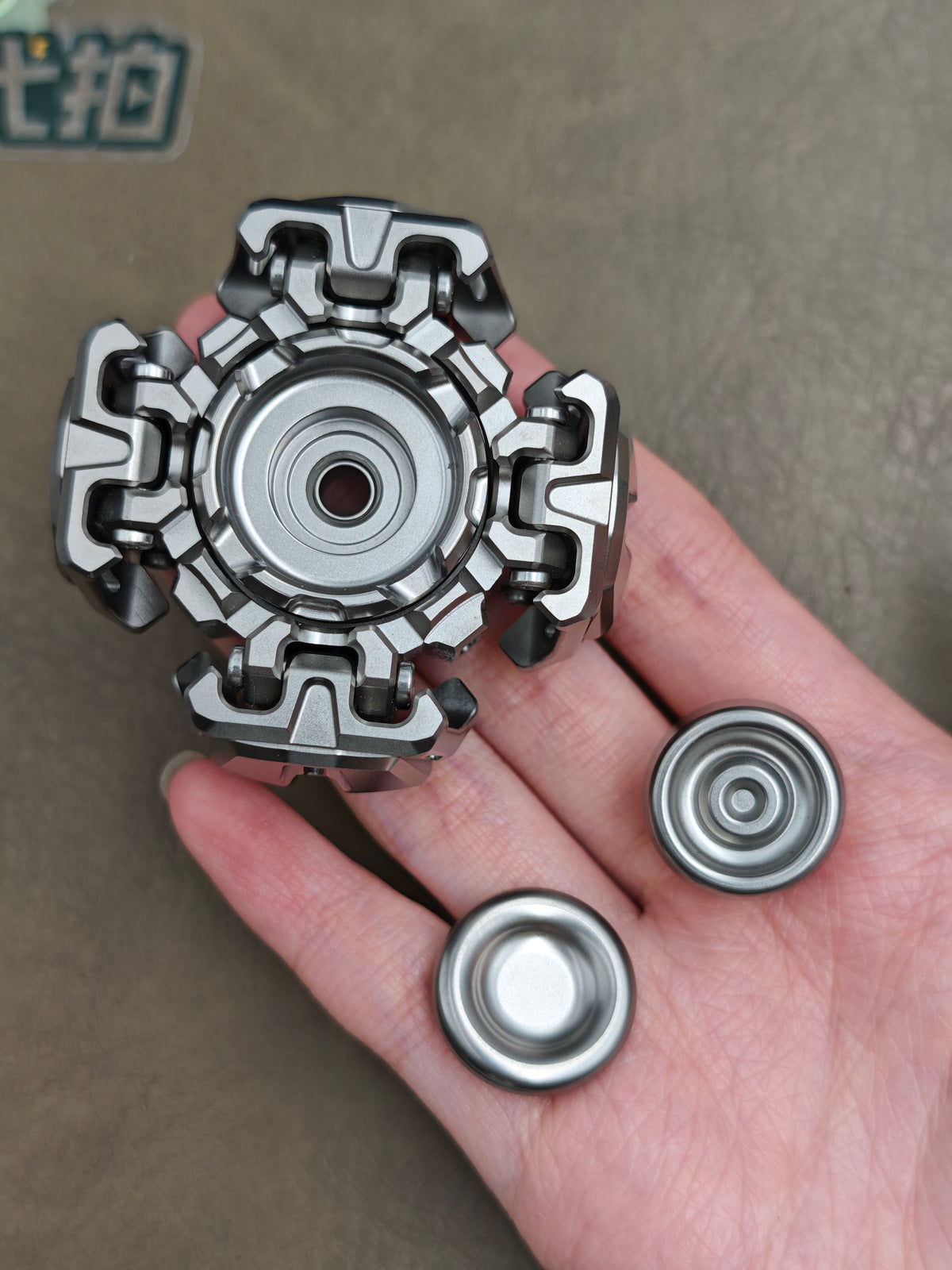 Ancient Iron Shell Opening Titanium Polished