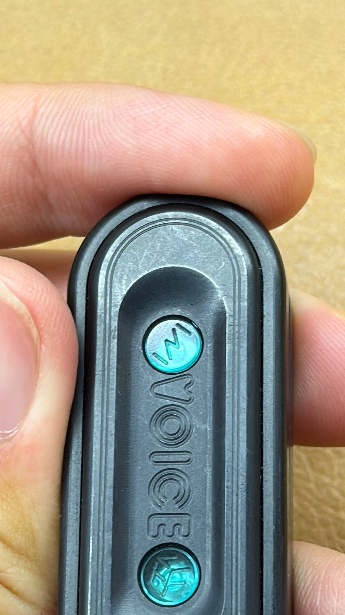 Voice PEEK