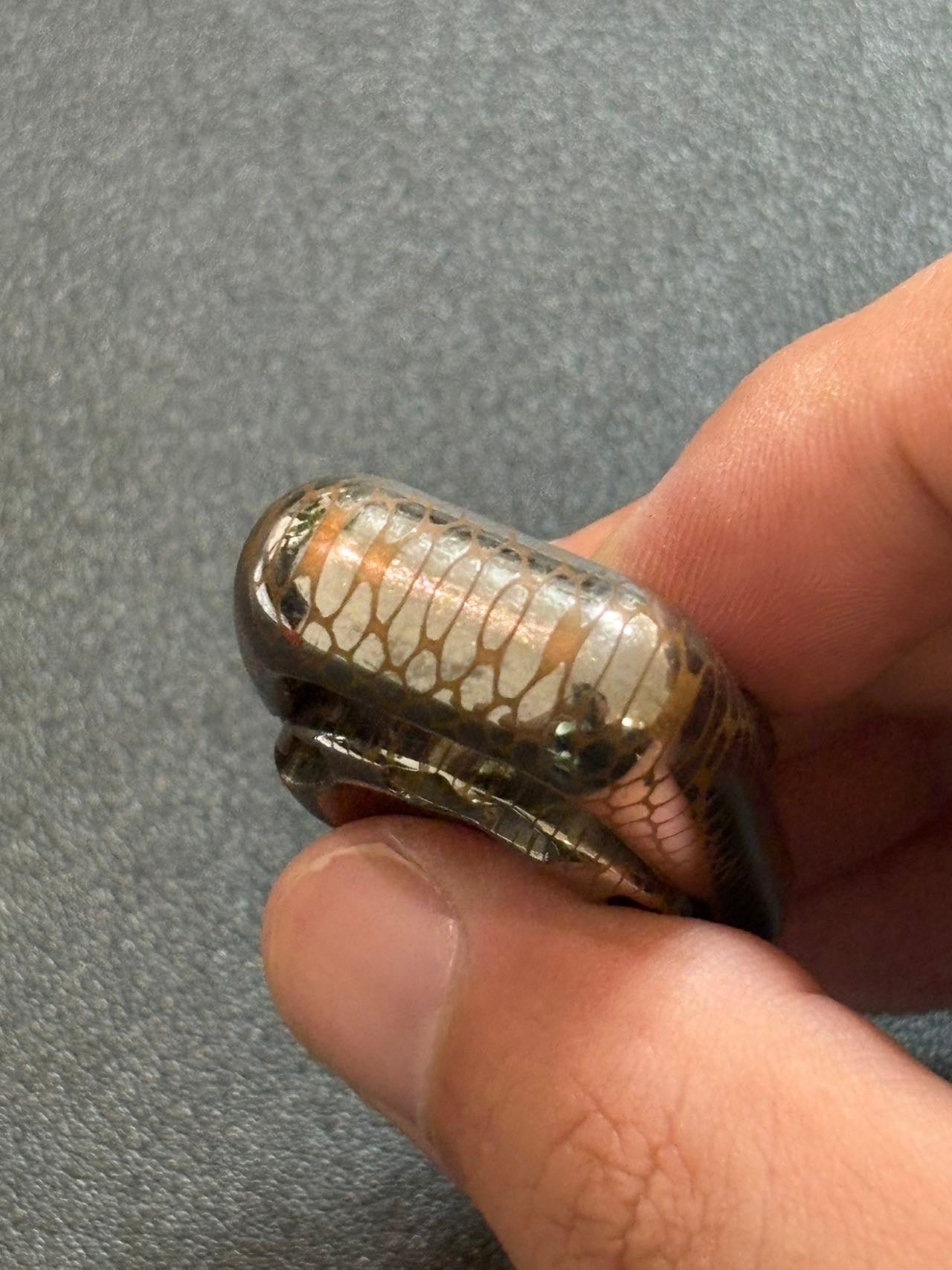 Ark Superconductor