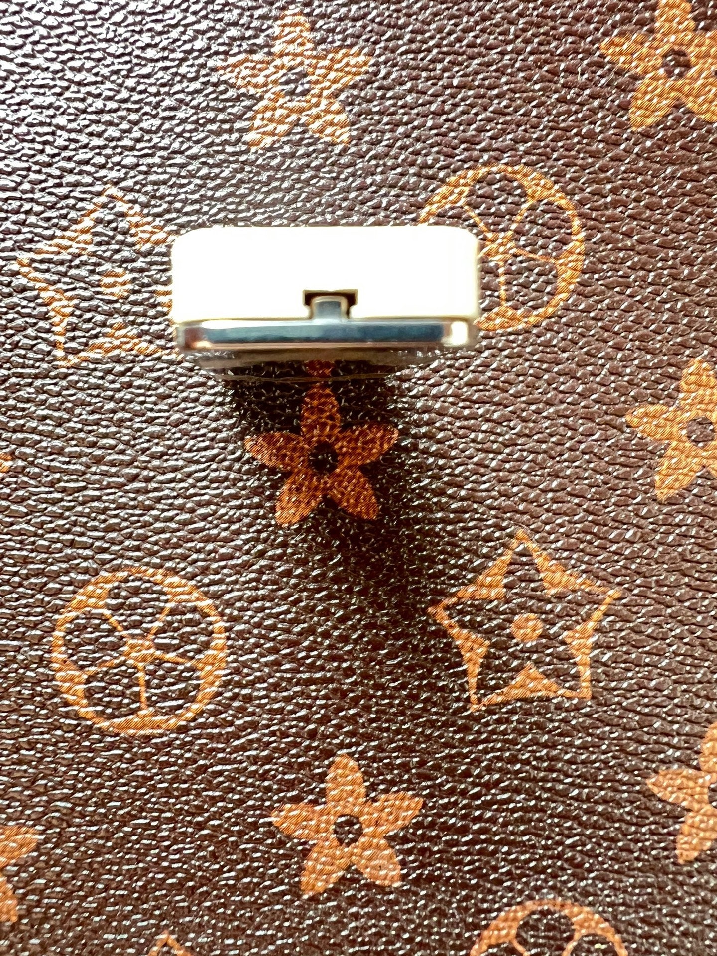 Cicada Chant Spring PEEK Titanium