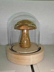 Poisonous Mushroom Limited Edition