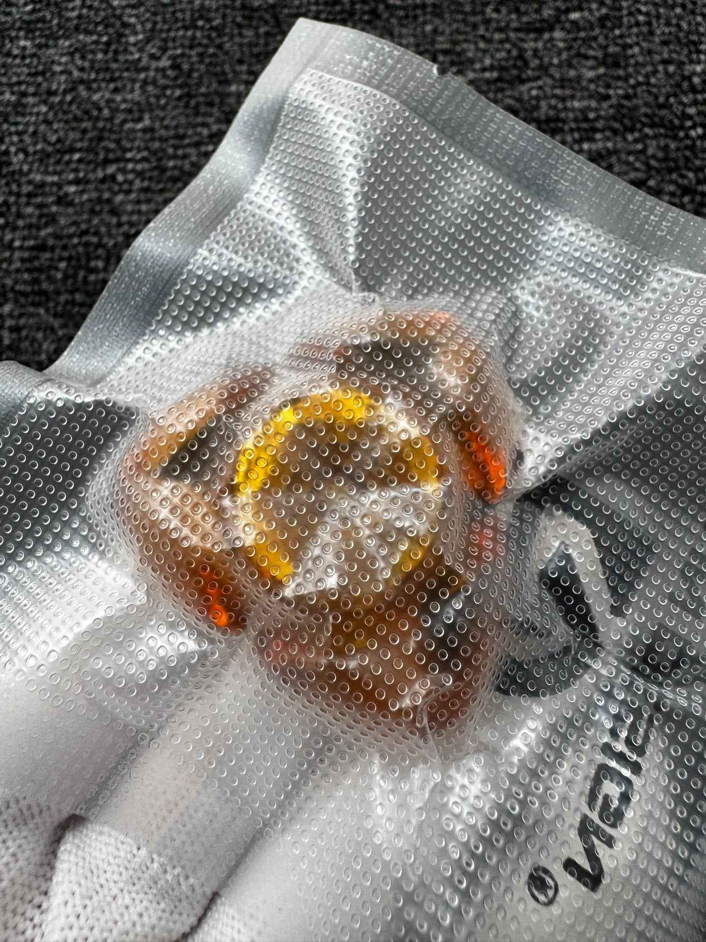 Fat Squid Zirconium Brand New