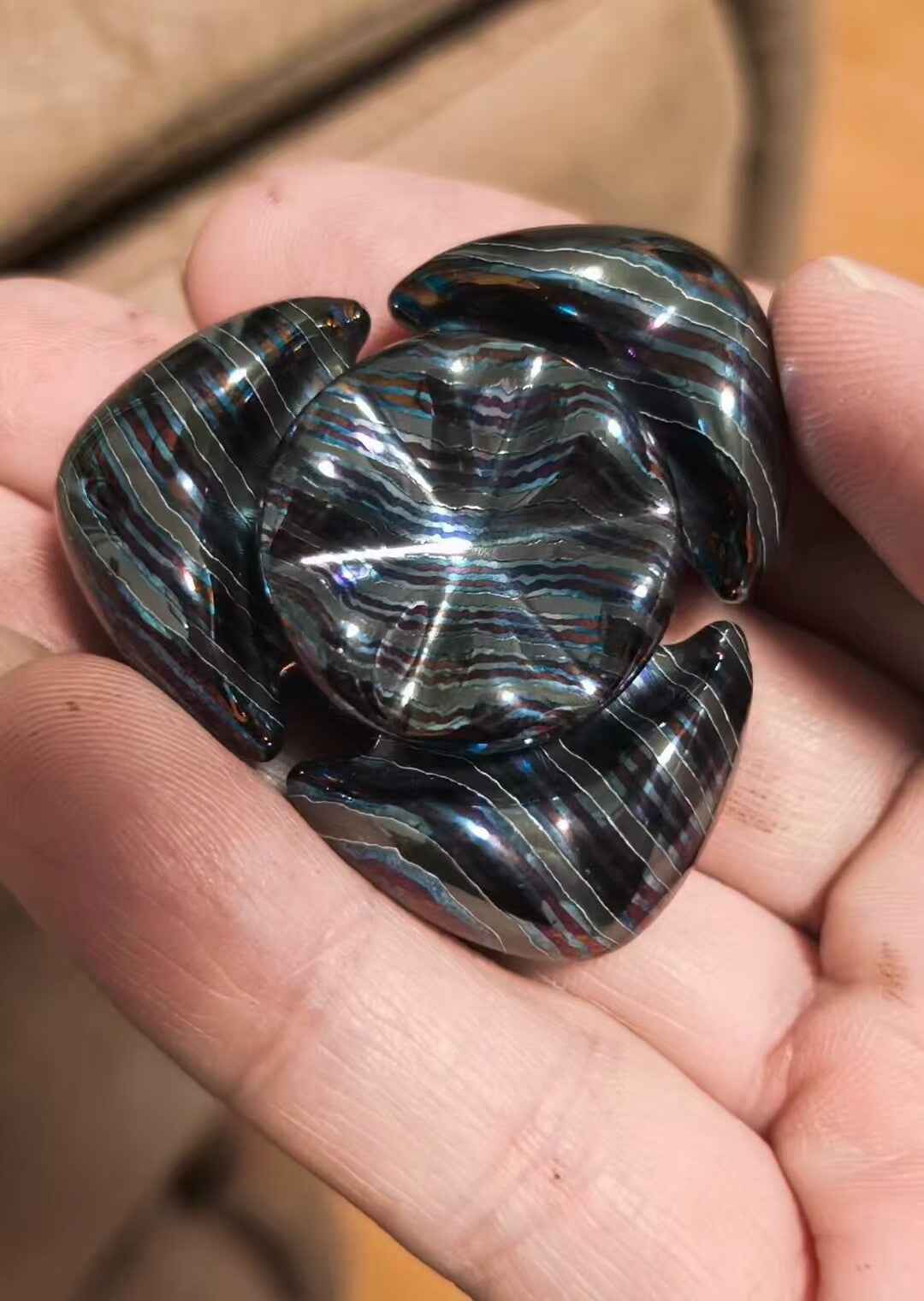 Fat Squid Zircuti