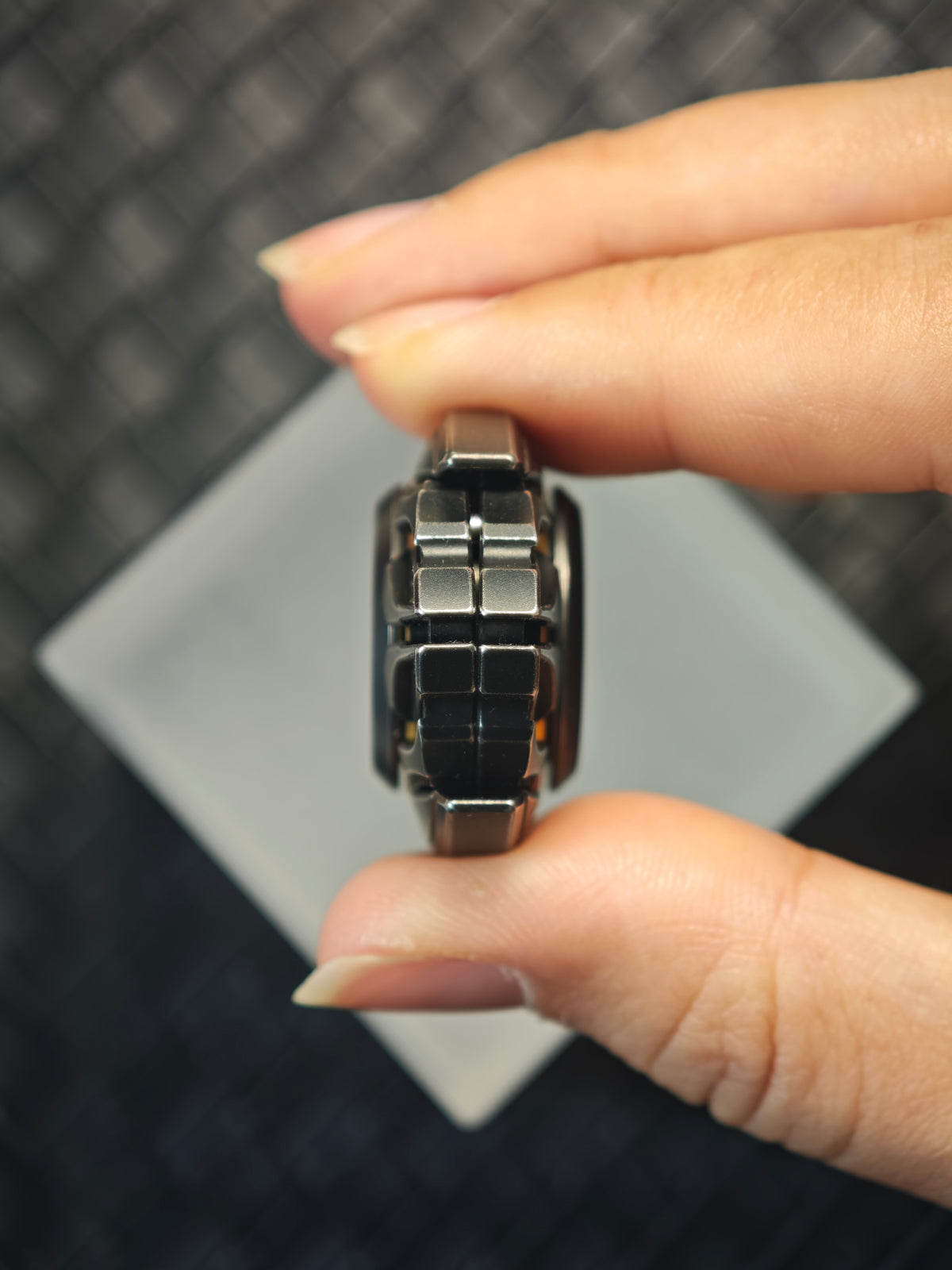 Dark Shell Opening Stainless Steel