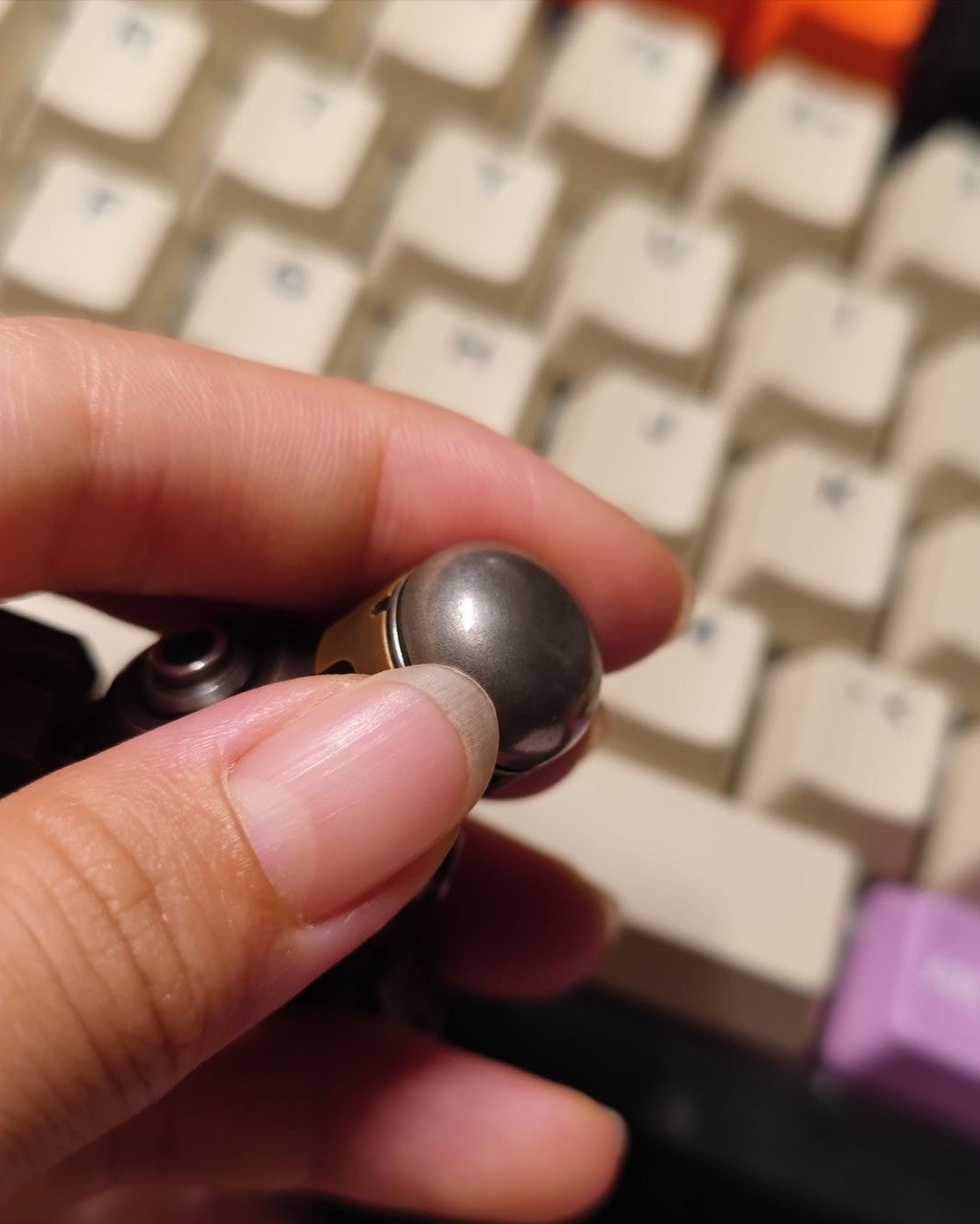 Bullet Nest Brass