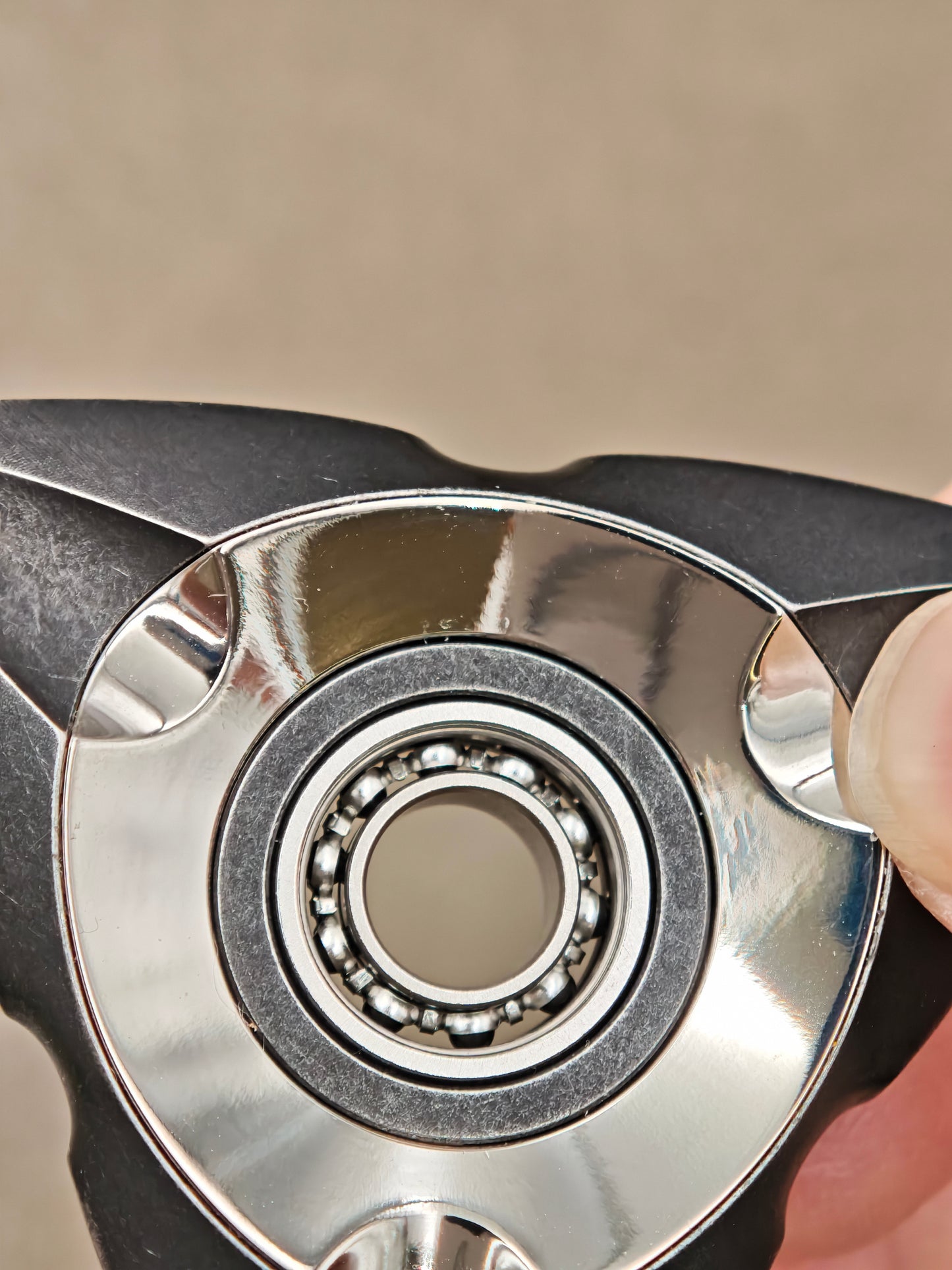 Maybe Re Wild Stainless Steel