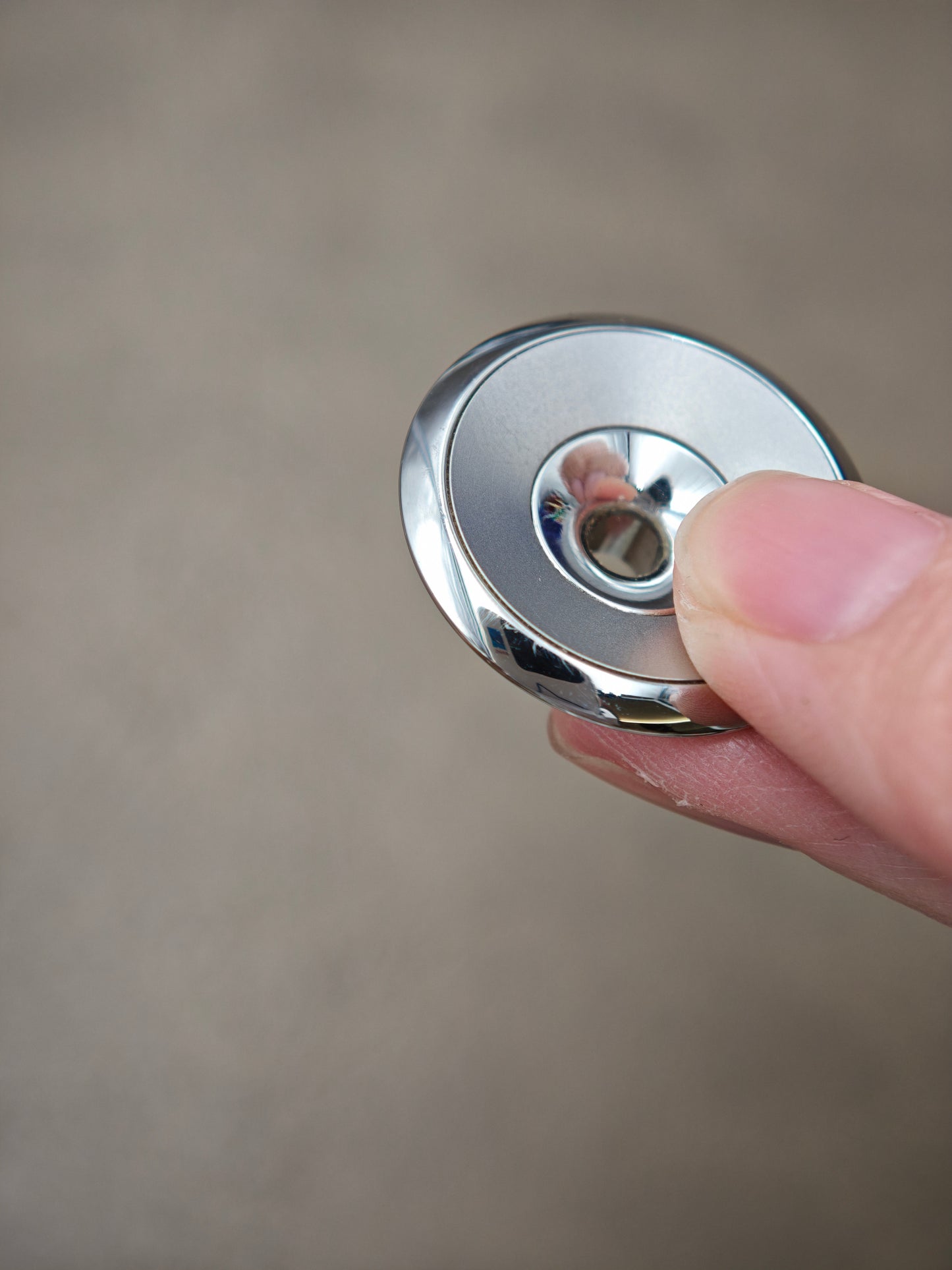 Maybe Re Wild Stainless Steel