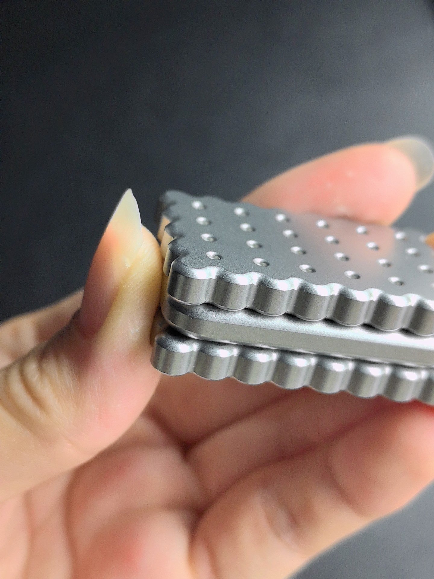 Biscuit Stainless steel