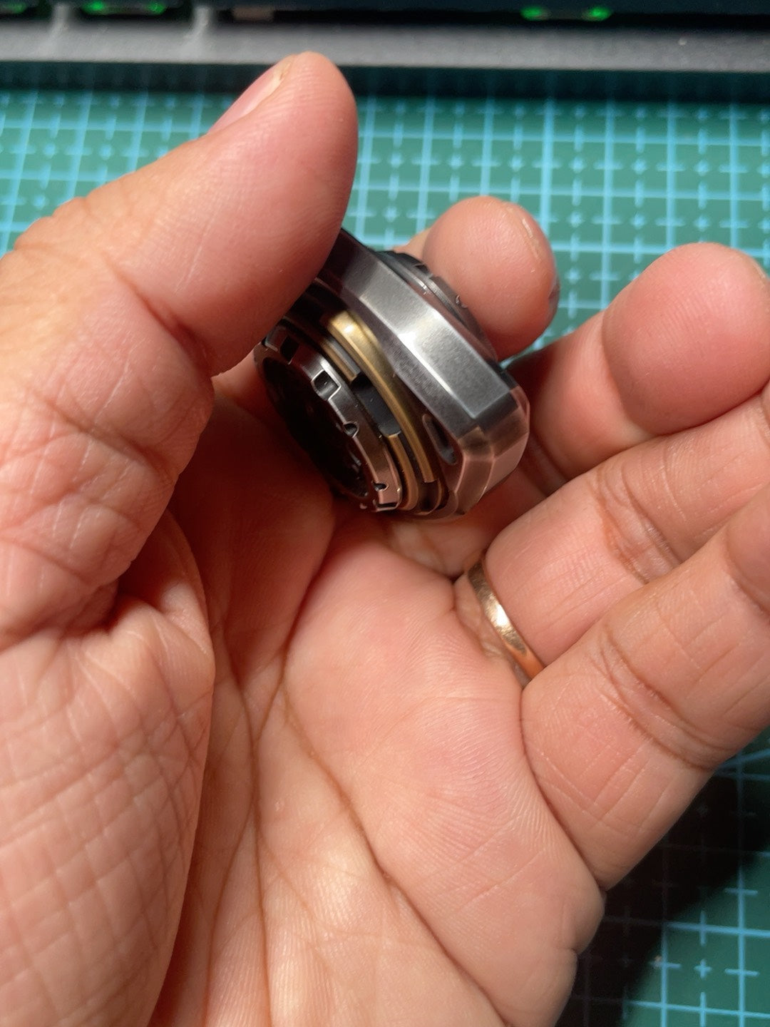 ROAR Spinner SS + Brass