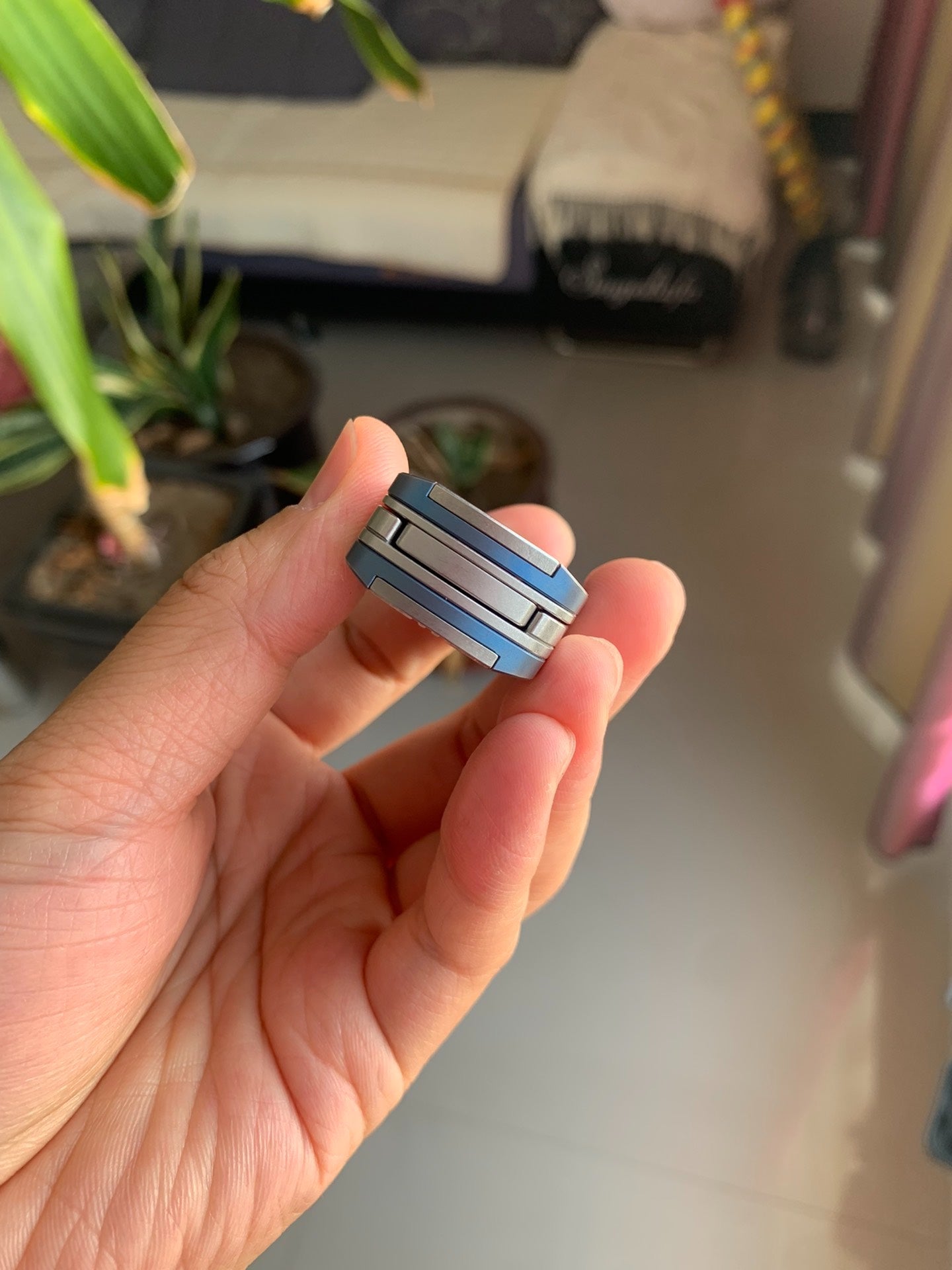 Triassic Slider Titanium