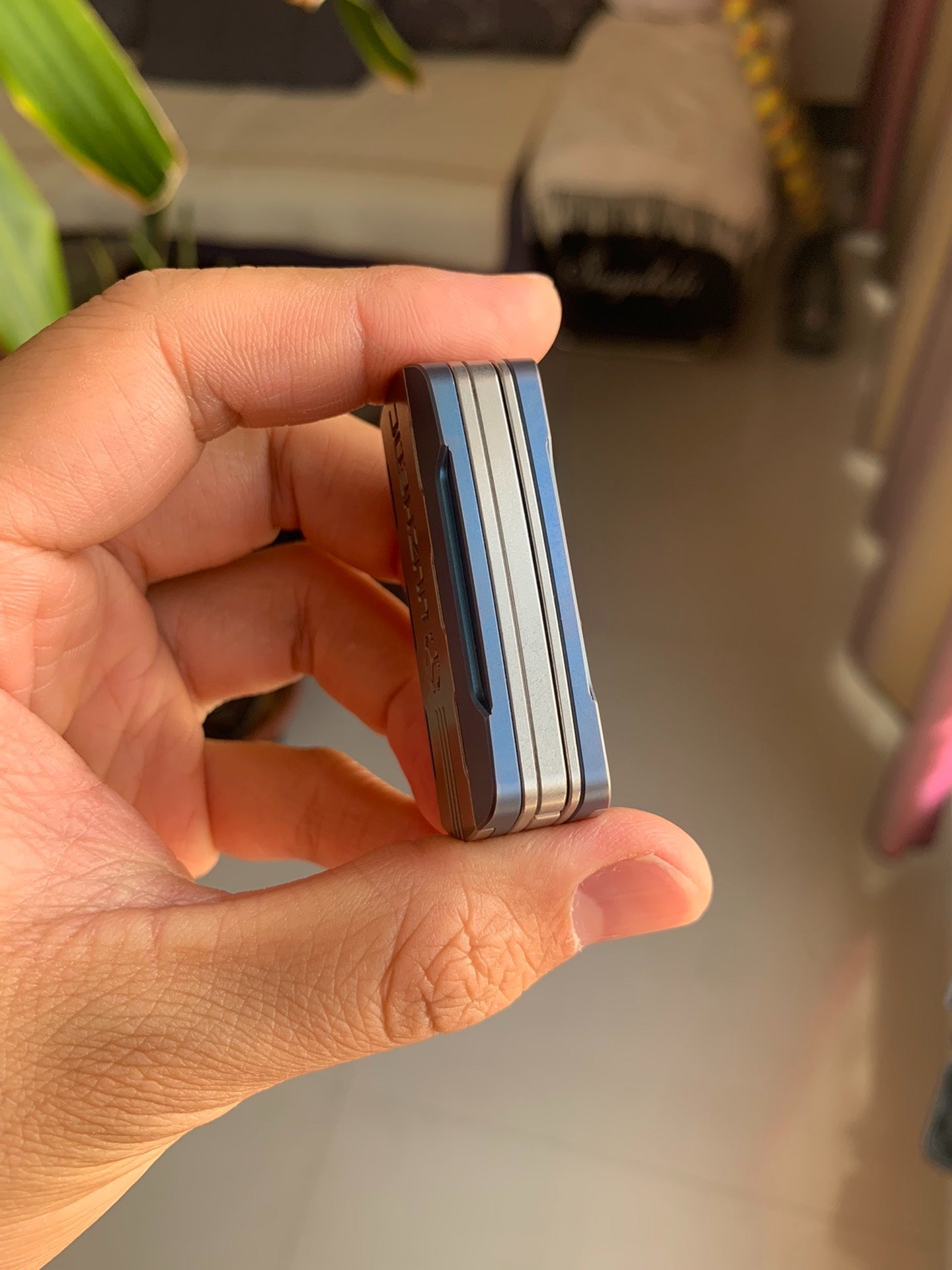 Triassic Slider Titanium