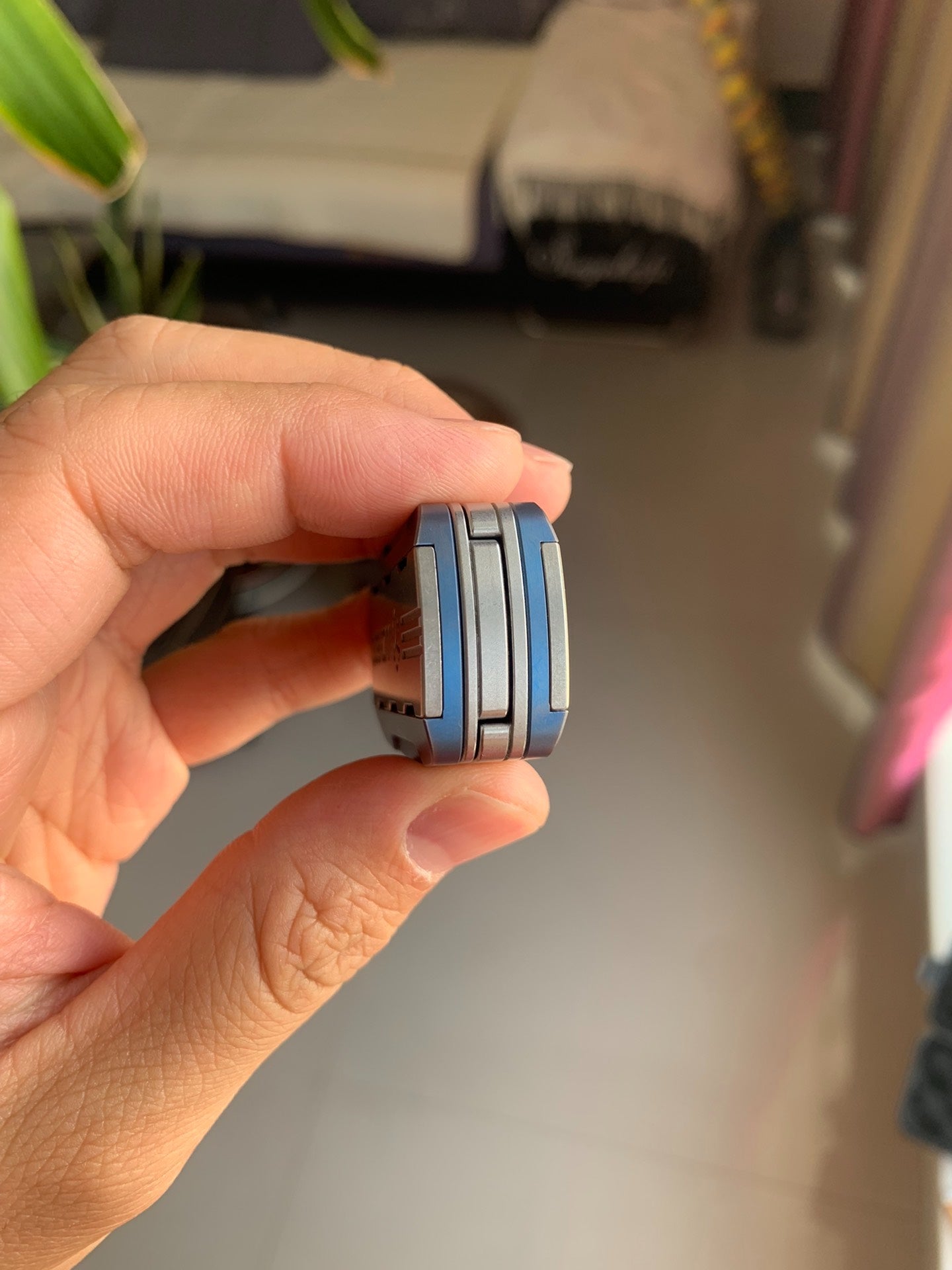 Triassic Slider Titanium