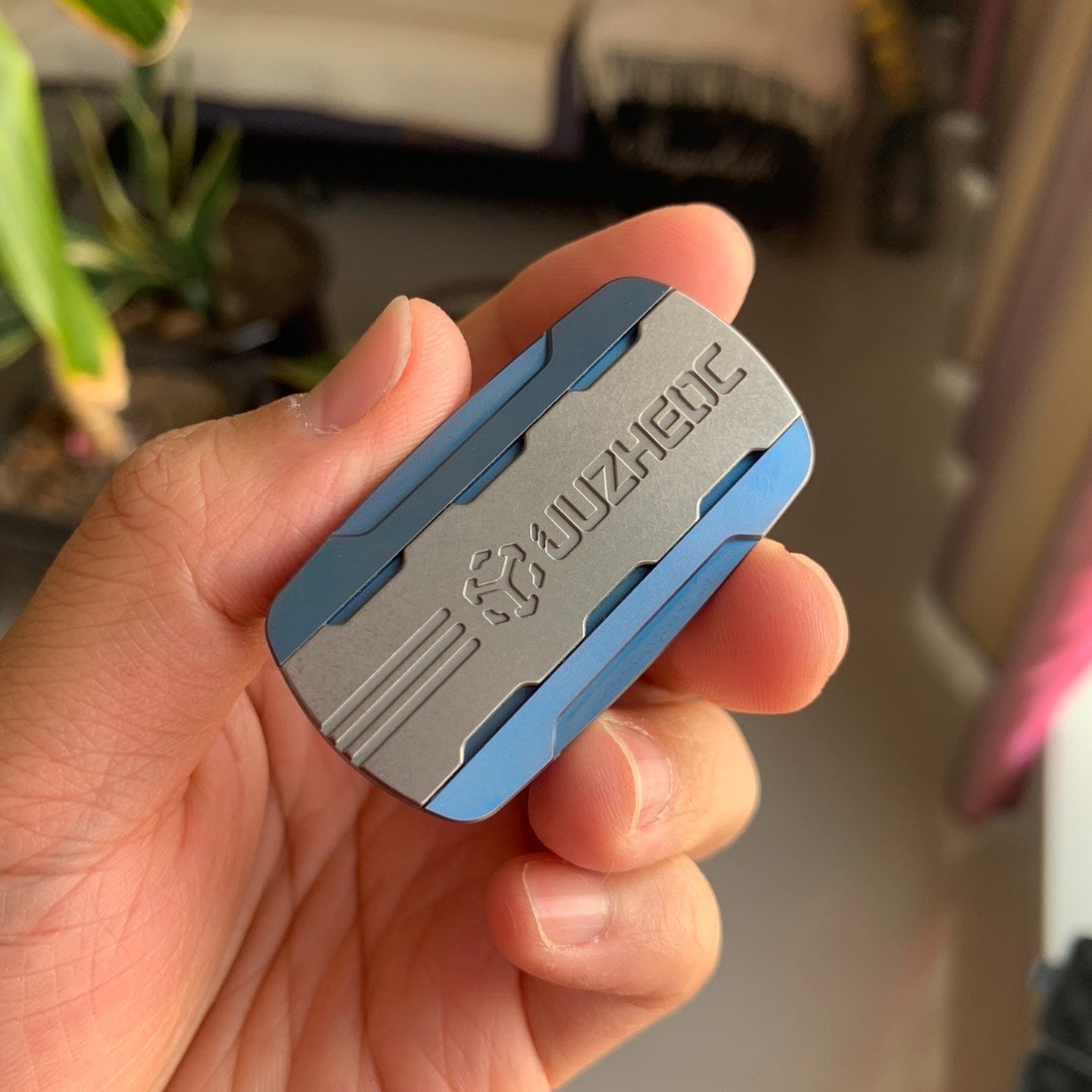 Triassic Slider Titanium