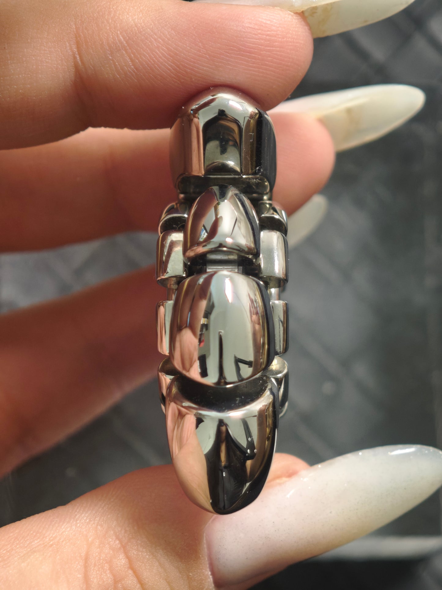 Nautilus Dragon Ridge Stainless Steel