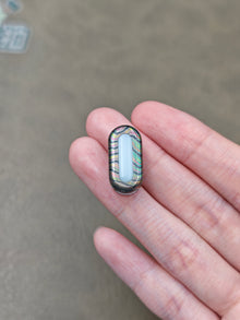 Bean Z Zircuti