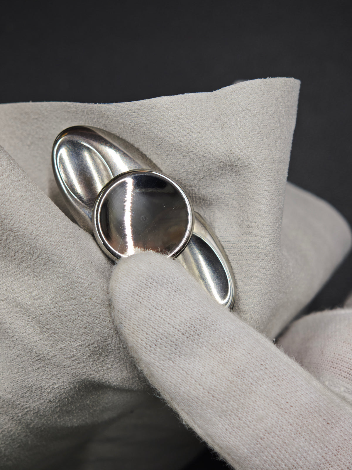 Dragonfly Stainless Steel