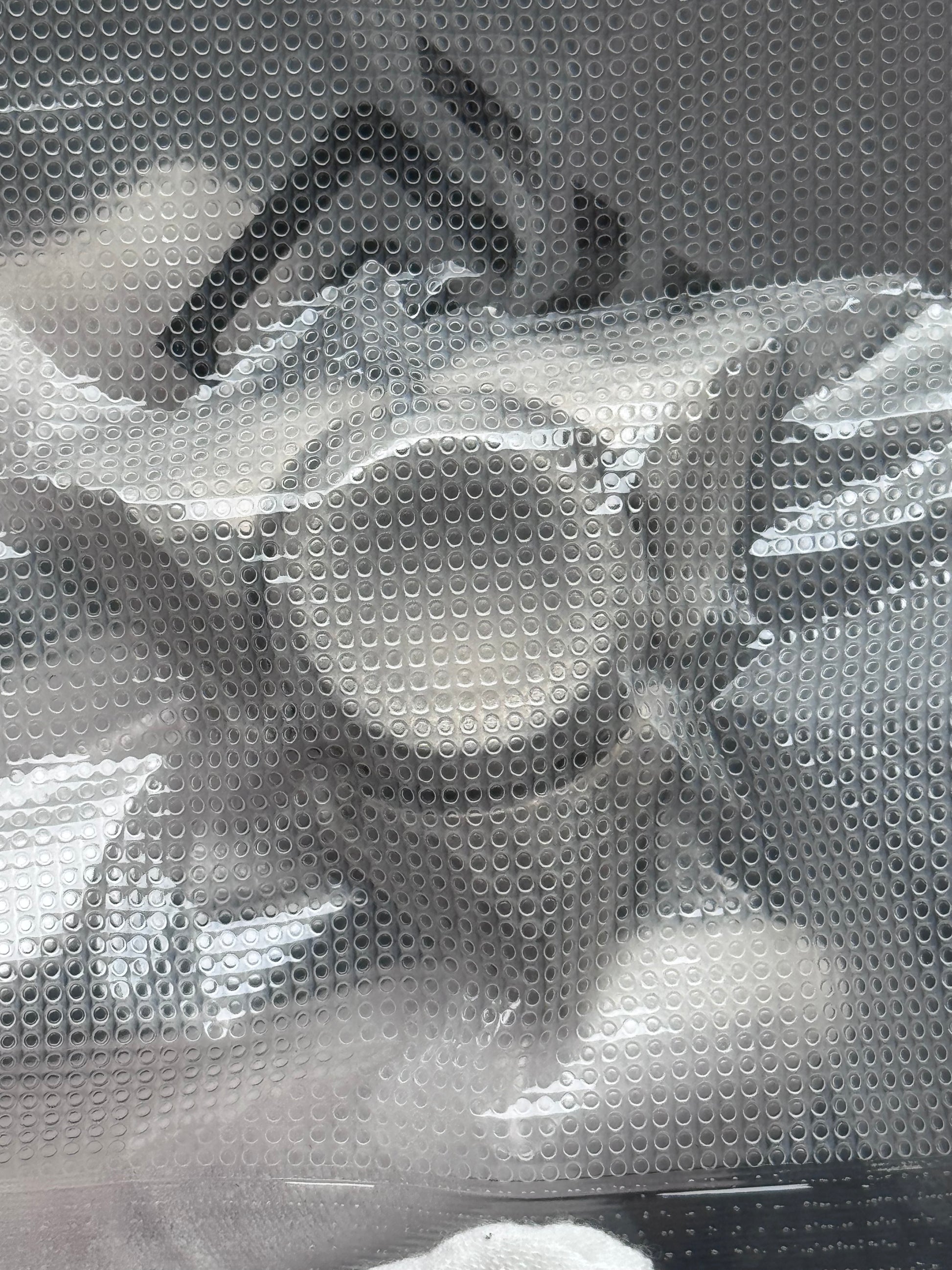 Prism Bearing Cap Titanium Brand New