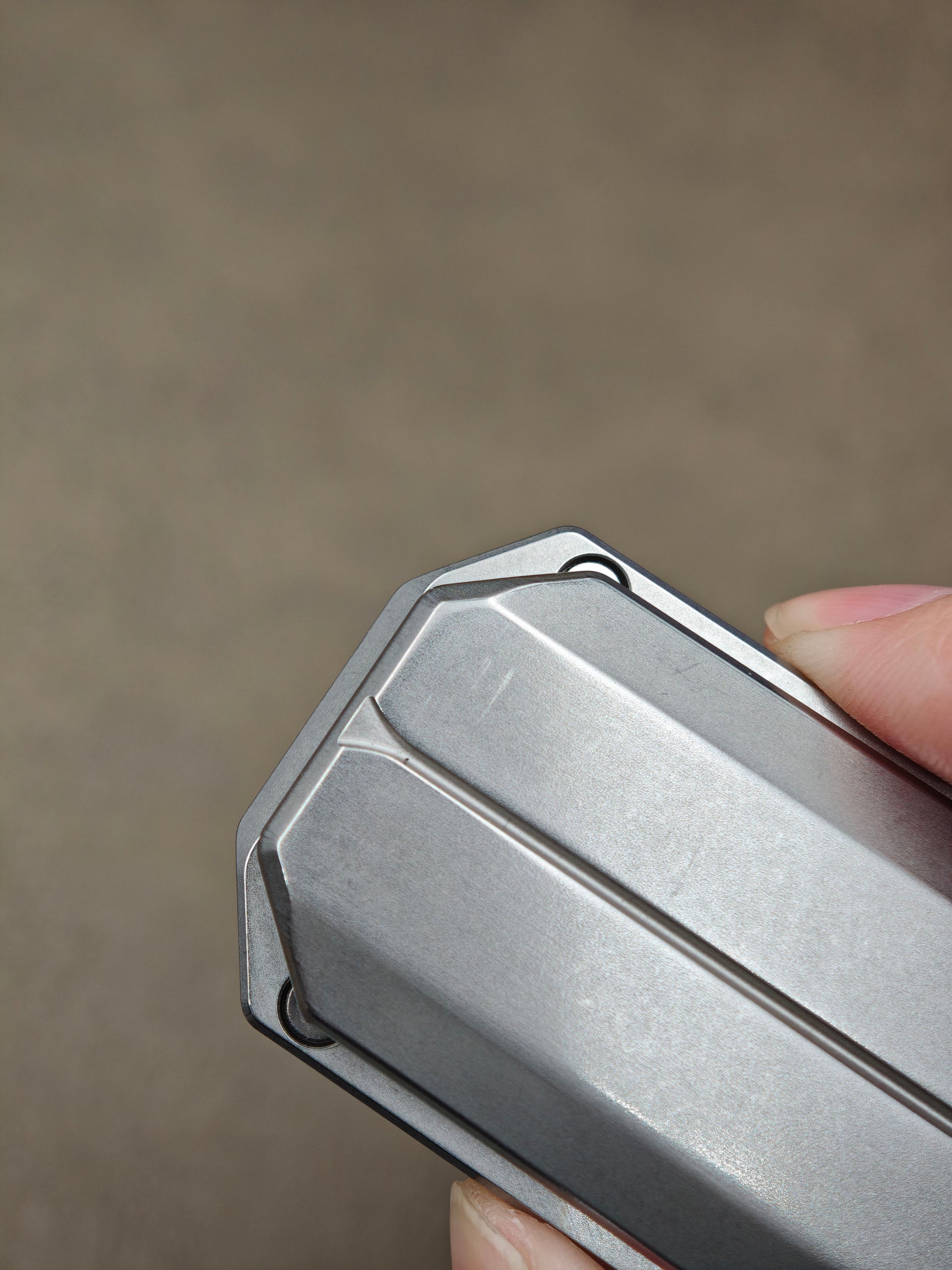 Beetle Wing Stainless Steel