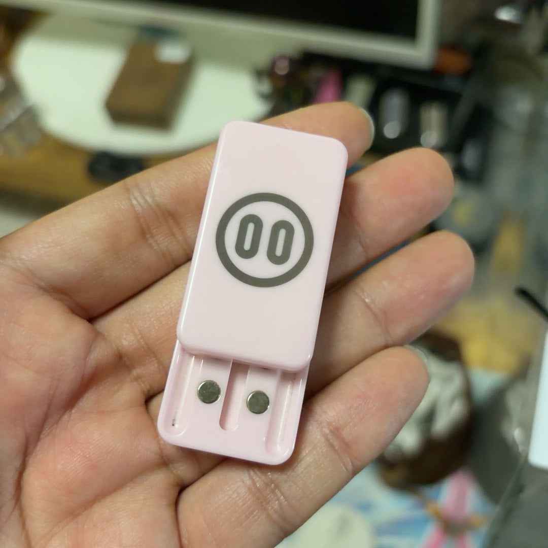 Ceramic Pig