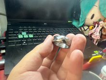 Pig Ring Size #29