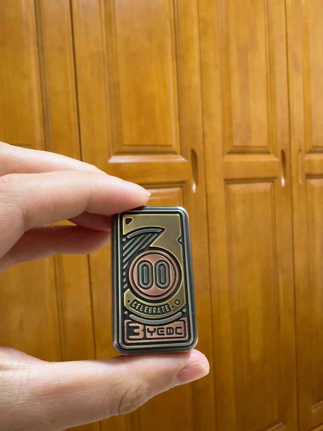 Pig Nose Stainless Steel Brass