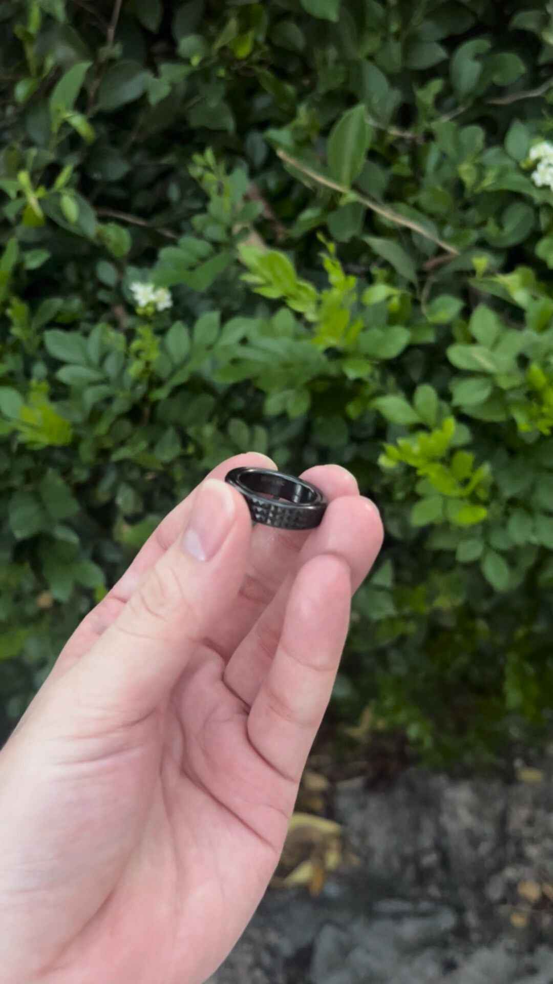 Zhuan Yun Size #16 Zirconium Limited Edition