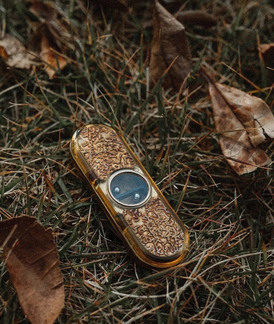 Economy Class Brand New