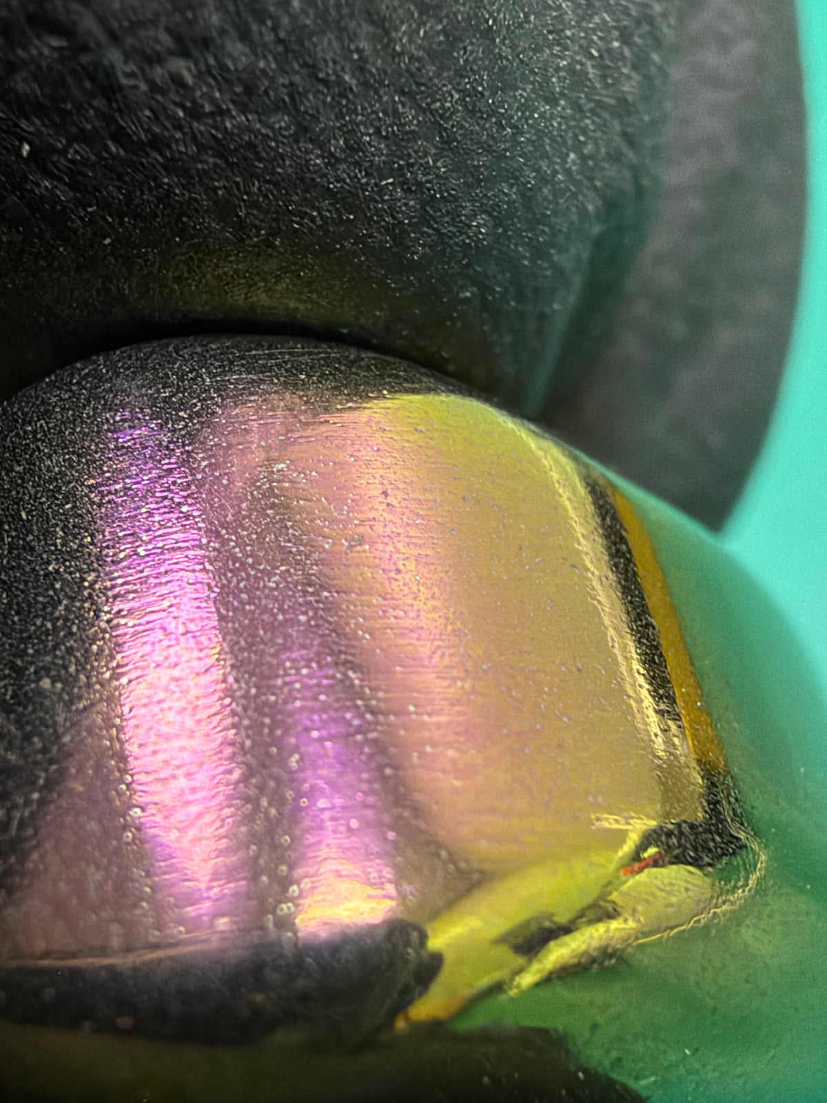 Three-Leaf Horizon Tungsten