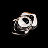 Polished Stainless Steel