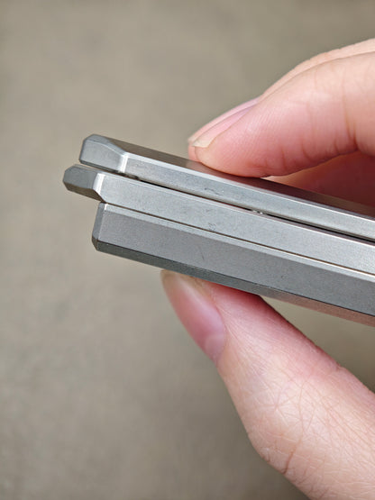 Beetle Wing Stainless Steel