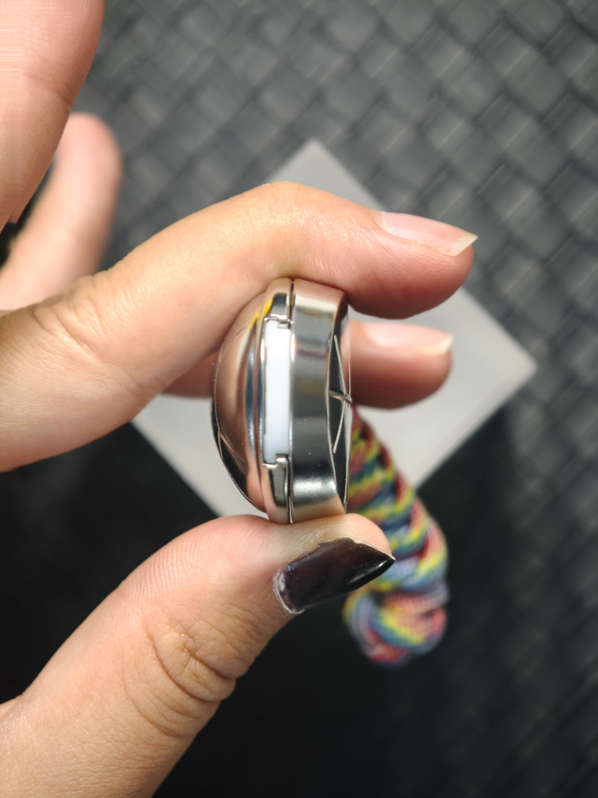 Jingle Beetle Stainless Steel