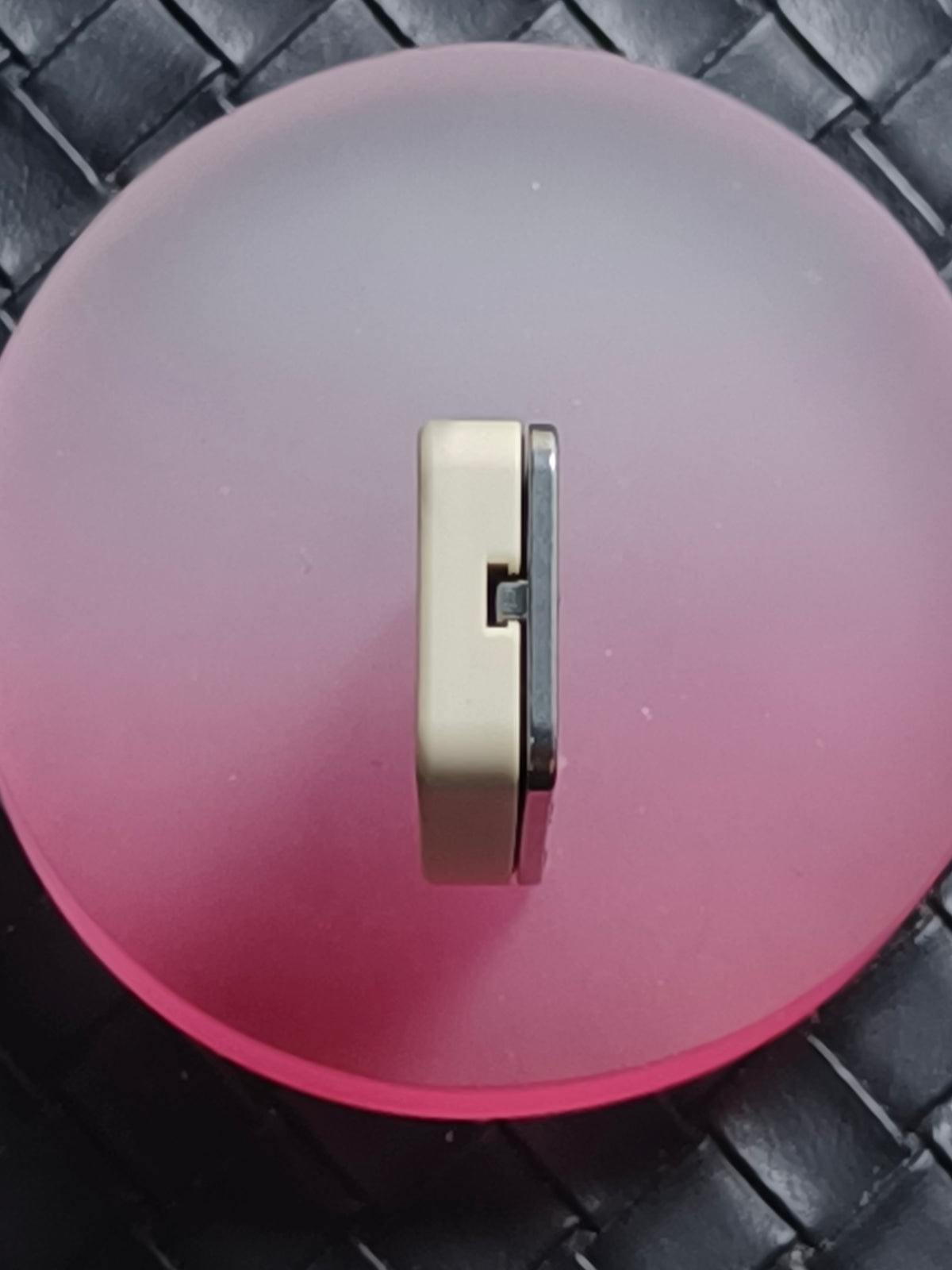 Cicada Chant Spring Titanium