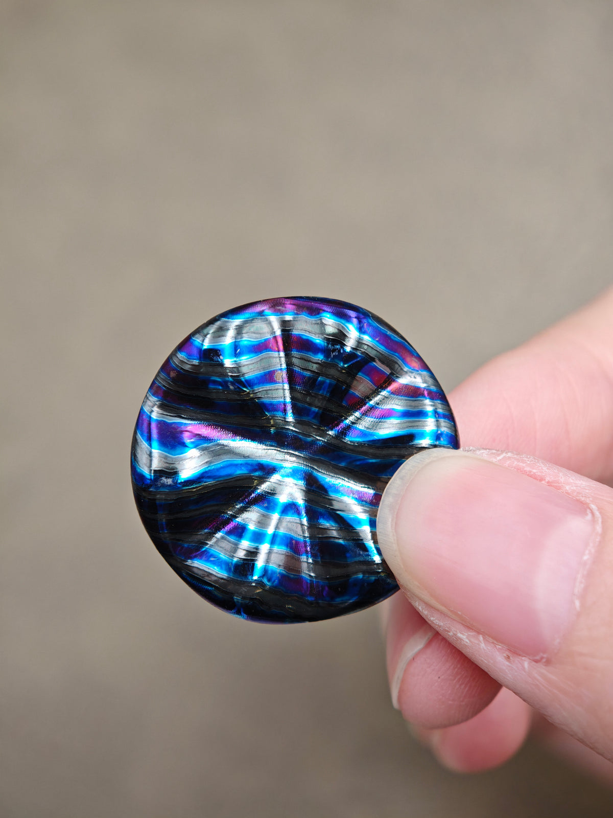 Fat Squid Zircuti