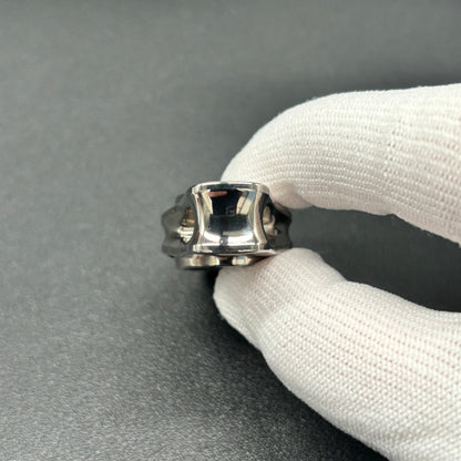 Oumuamua Premium & Buckle Titanium Polished
