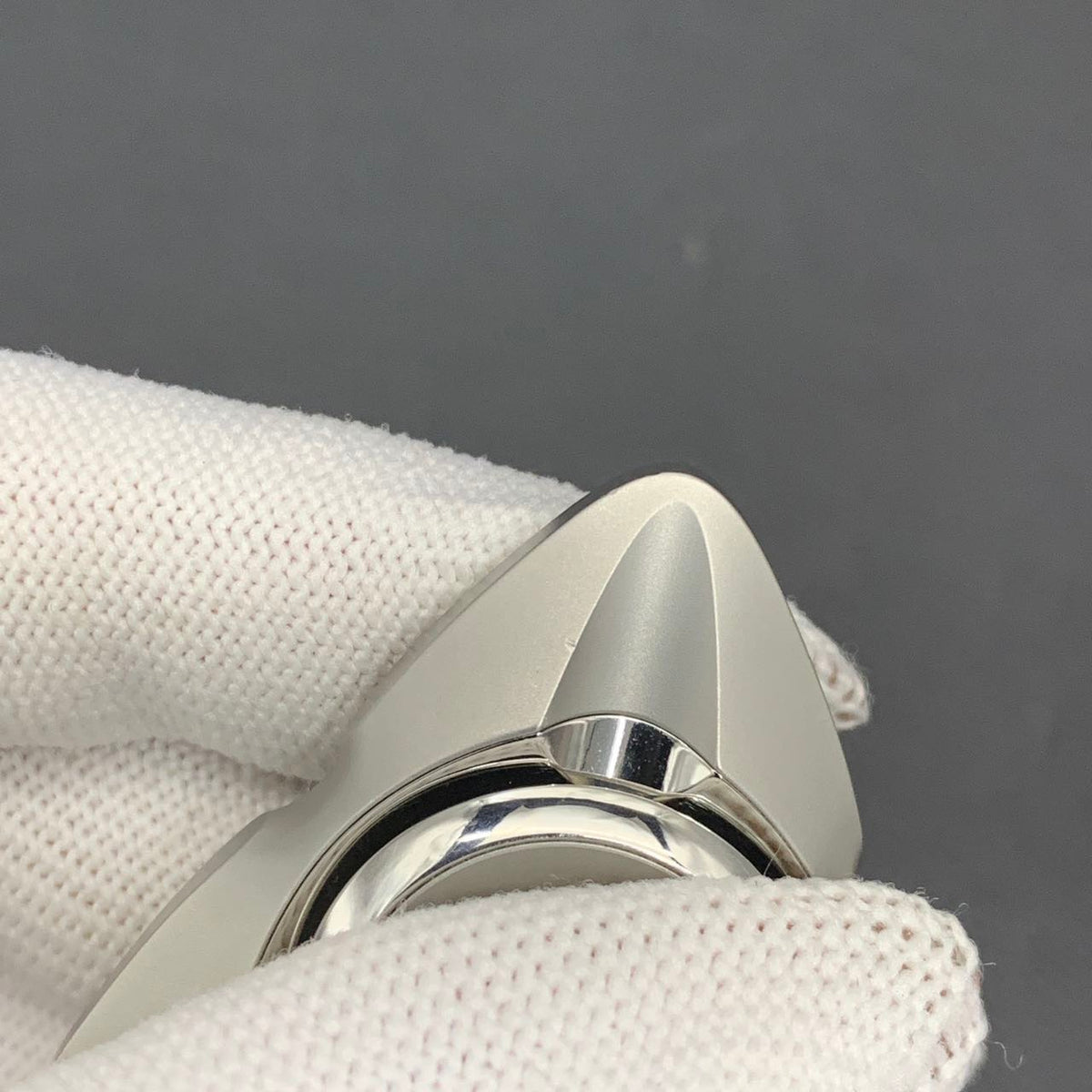Maybe Re Wild Stainless Steel