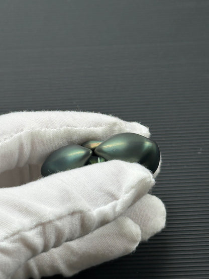 Fat Squid Zirconium