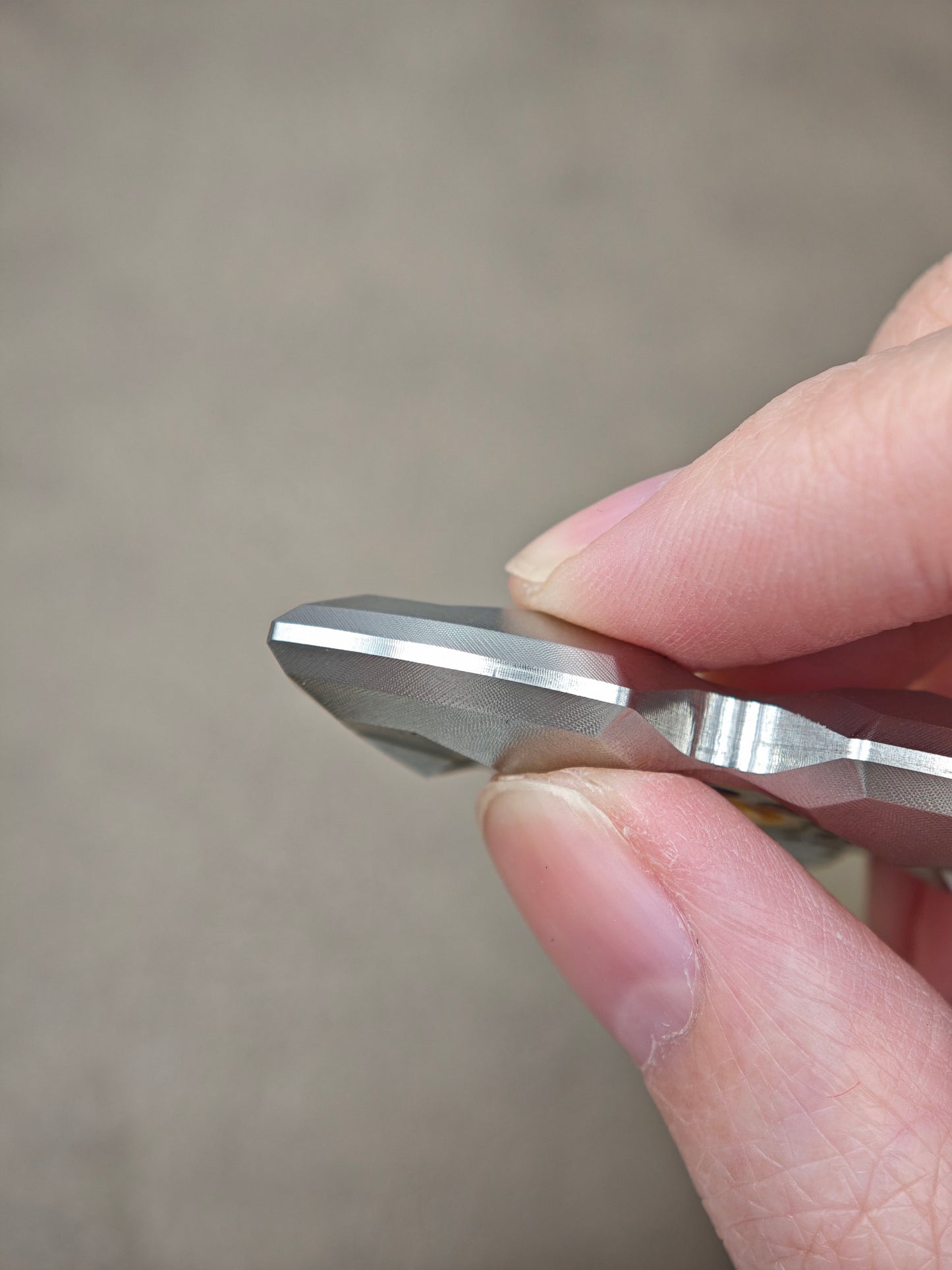 Stainless Steel