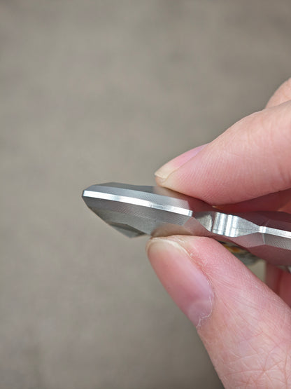 Stainless Steel
