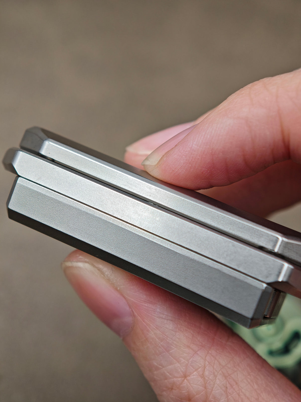 Beetle Wing Stainless Steel