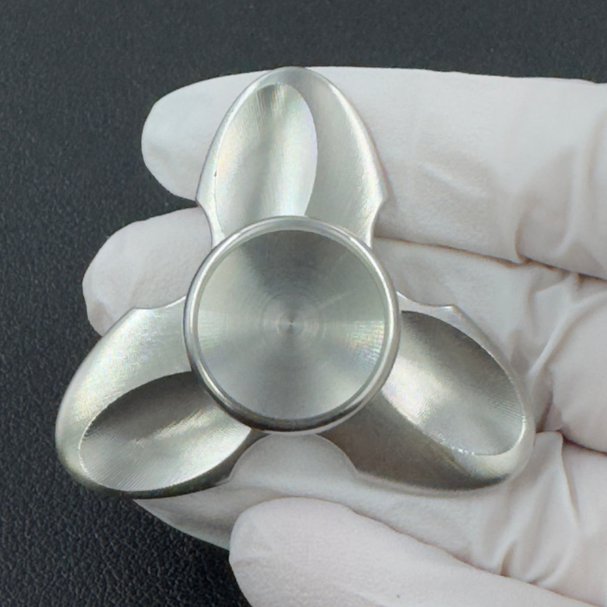 Dragonfly Stainless Steel