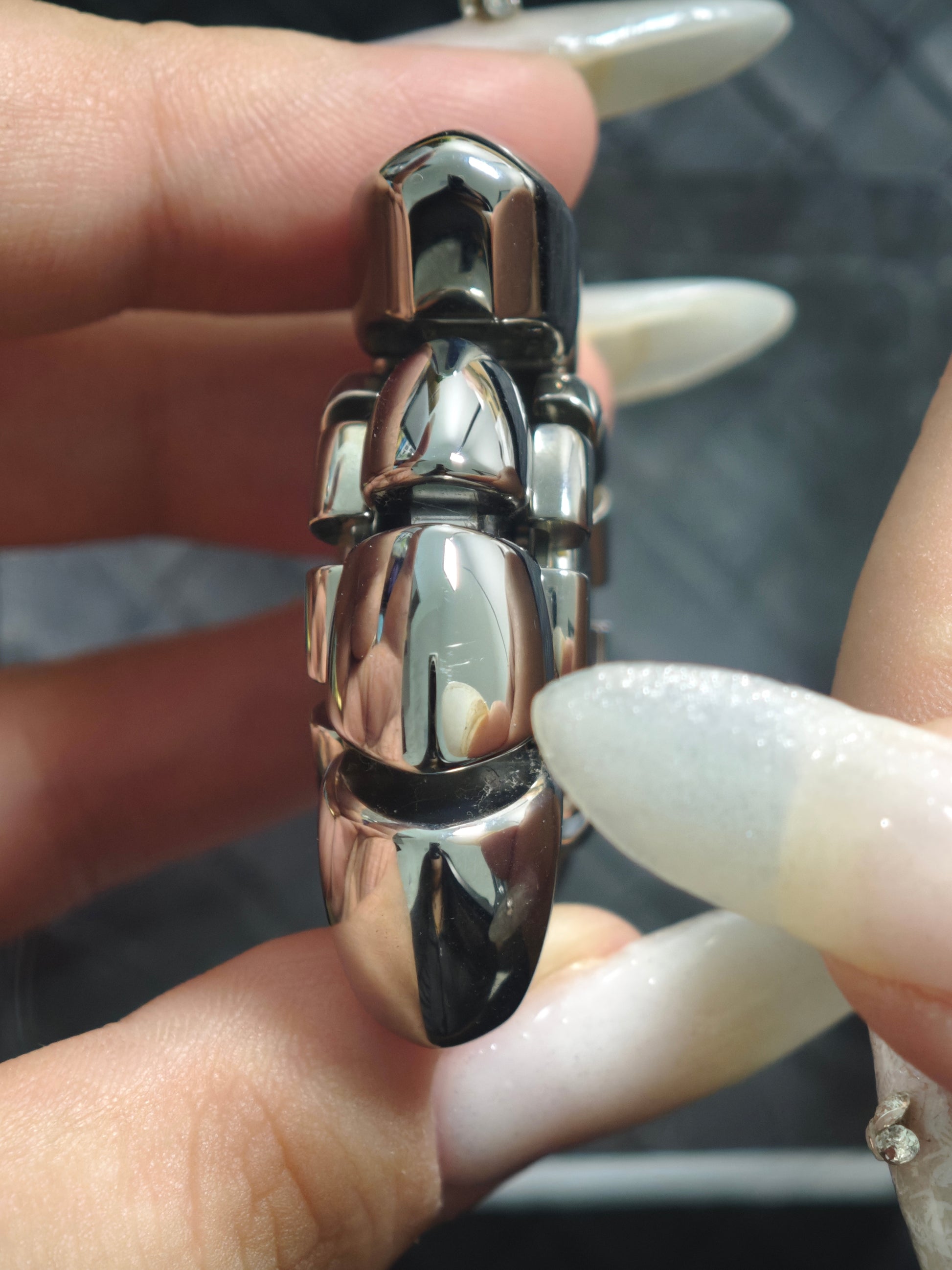 Nautilus Dragon Ridge Stainless Steel