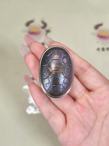 Jingle Beetle Titanium