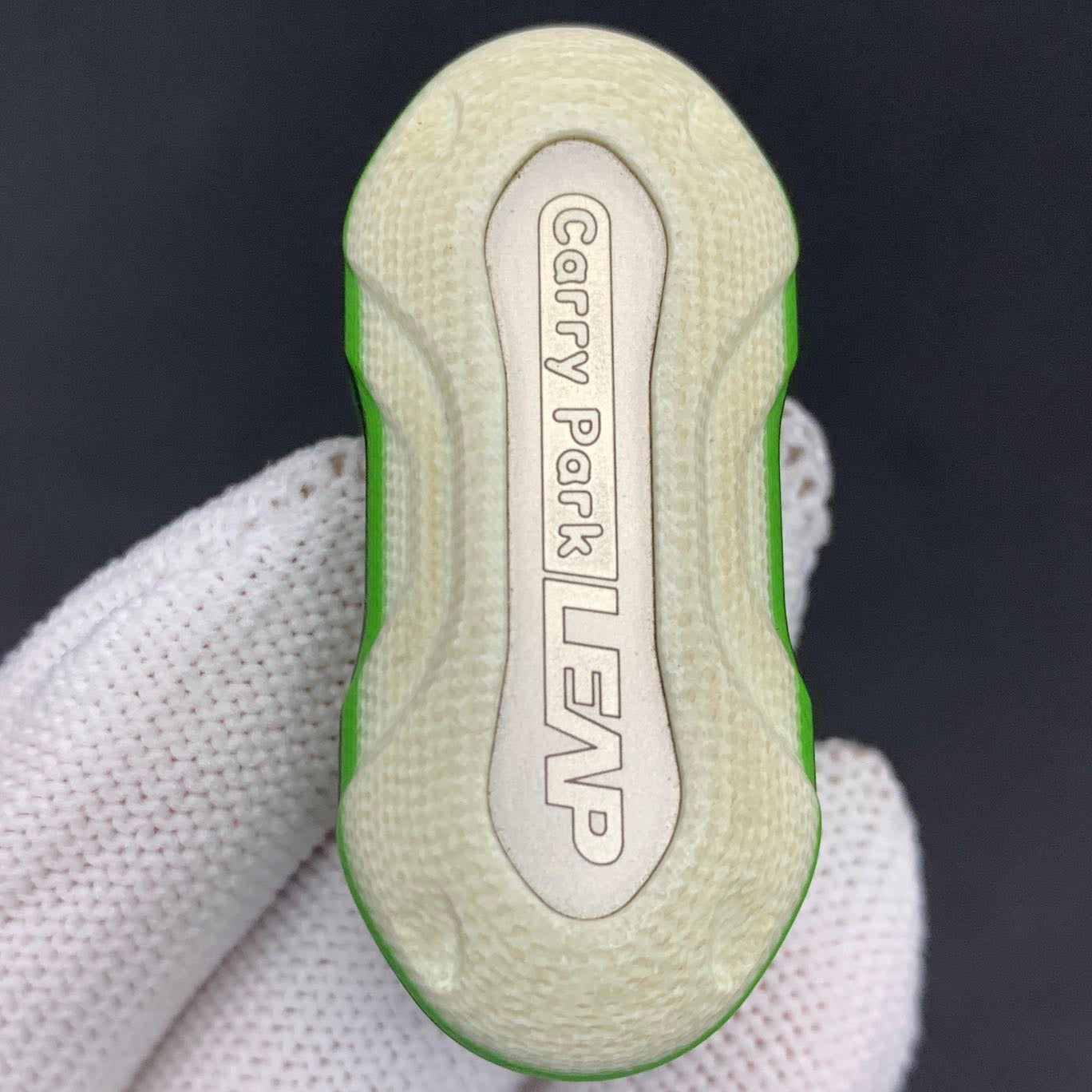 Leap Collector G10