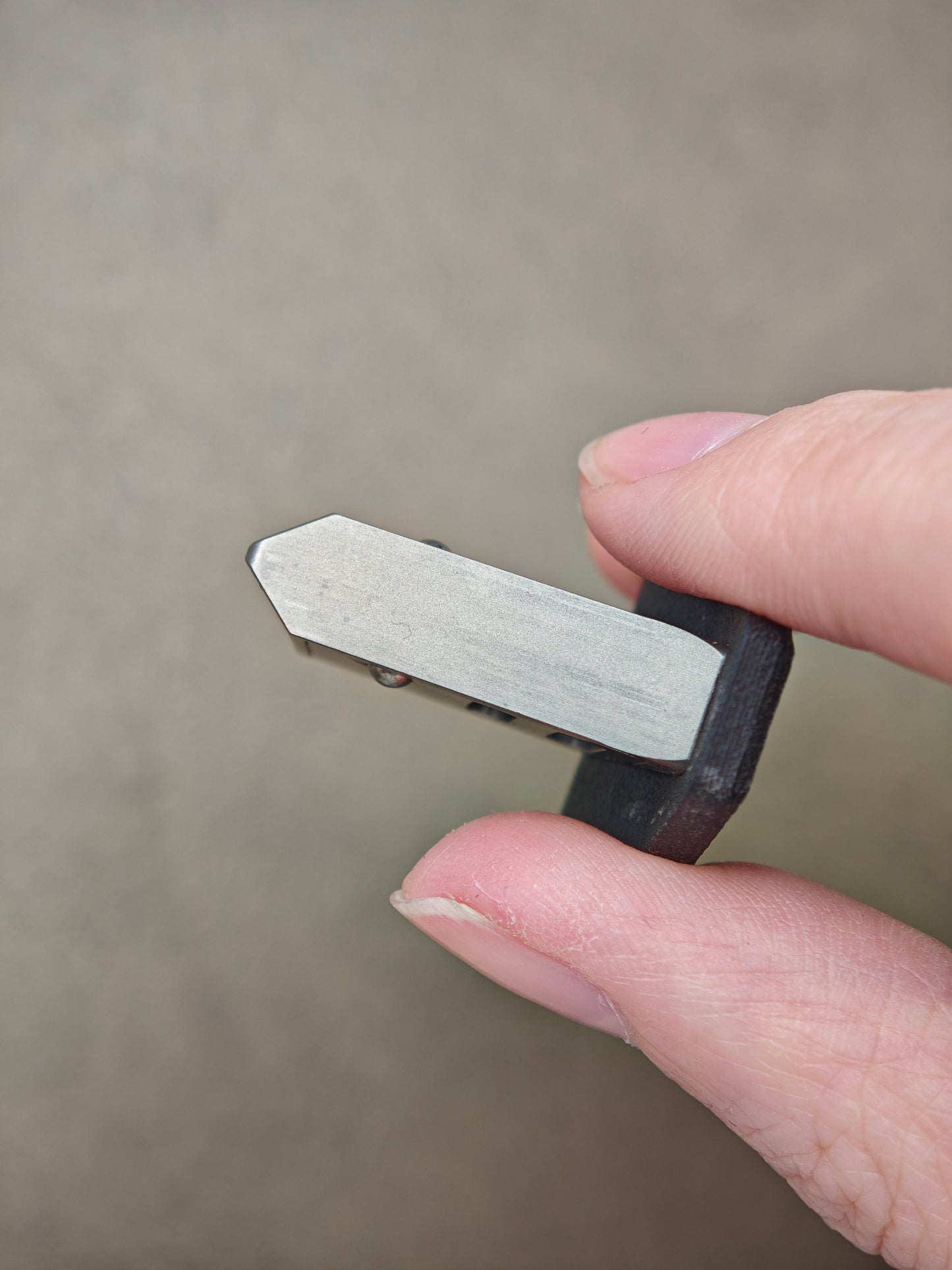 Punnk Titanium