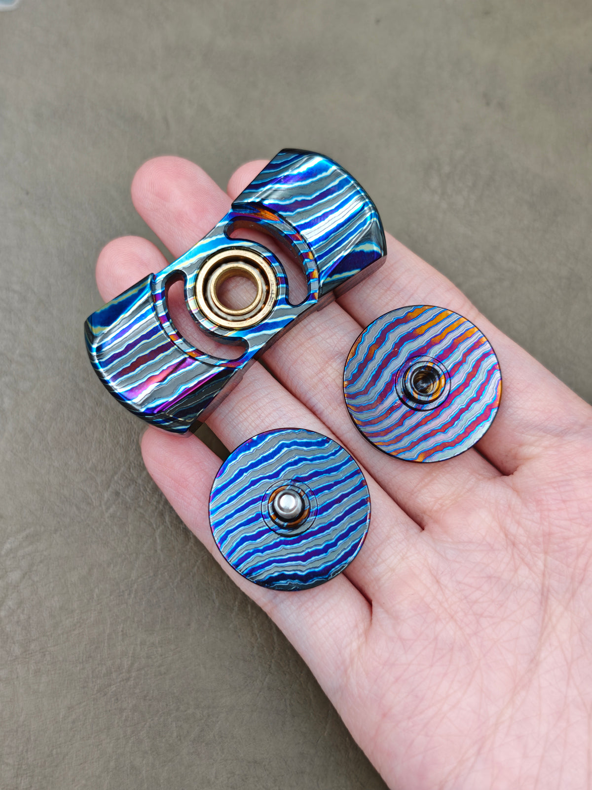 Swallowtail Zircuti