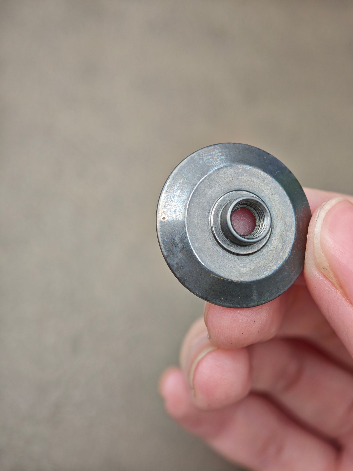 Maybe Re Wild Tungsten
