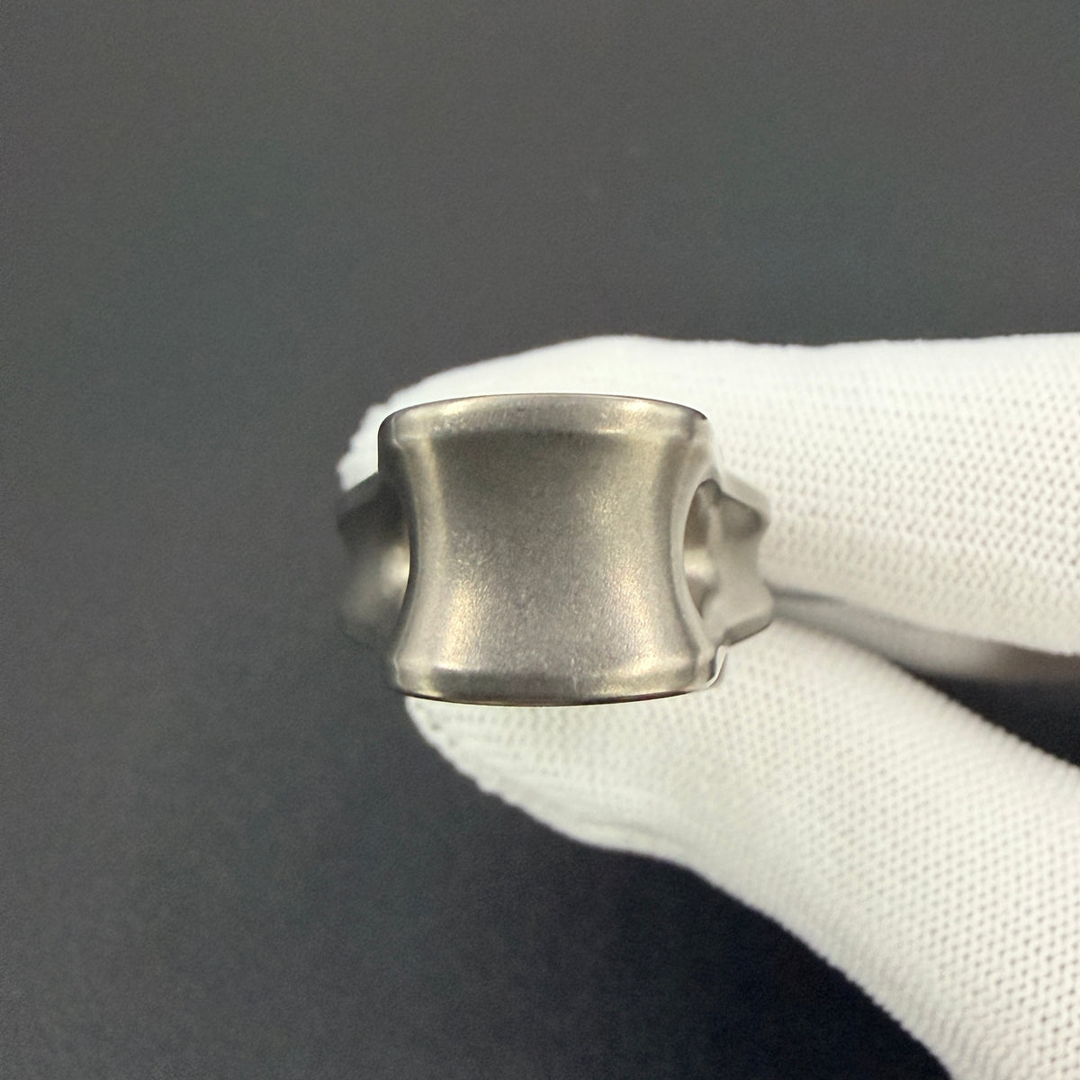 Oumuamua Premium & Buckle Titanium Blasted