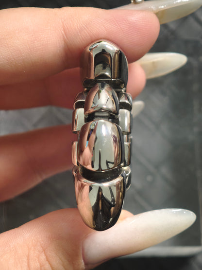 Nautilus Dragon Ridge Stainless Steel